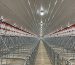 Introducción completa al equipamiento para la cría de cerdos
