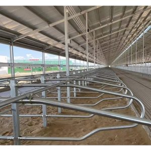 Cama para vacas con establos libres