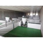 corral para lechones