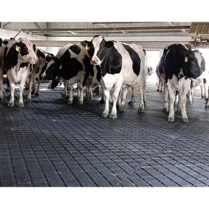 Esterilla de goma para vacas